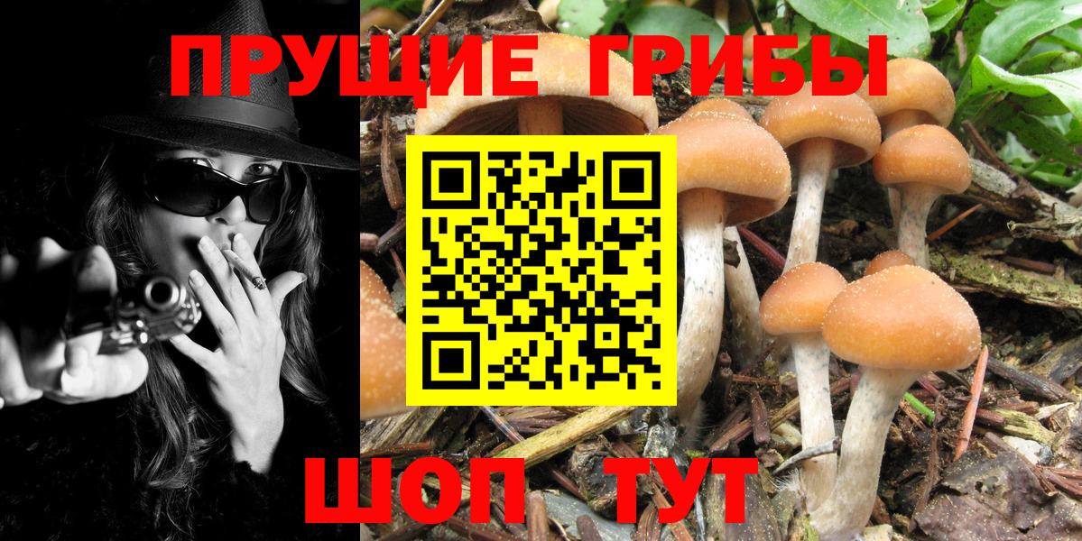 Псилоцибиновые грибы прущие грибы  Галлюциногенные грибы MAGIC MUSHROOMS  Чебоксары  Вход с VPN 